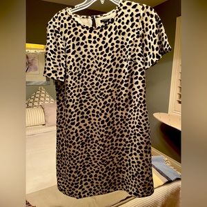 Short dress.  Baby leopard print.  2P Ann Taylor